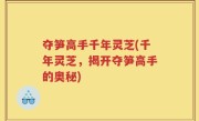 夺笋高手千年灵芝(千年灵芝，揭开夺笋高手的奥秘)