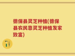 德保县灵芝种植(德保县农民靠灵芝种植发家致富)