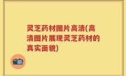 灵芝药材图片高清(高清图片展现灵芝药材的真实面貌)