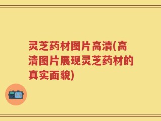 灵芝药材图片高清(高清图片展现灵芝药材的真实面貌)