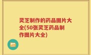 灵芝制作的药品图片大全(50张灵芝药品制作图片大全)