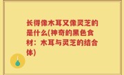 长得像木耳又像灵芝的是什么(神奇的黑色食材：木耳与灵芝的结合体)