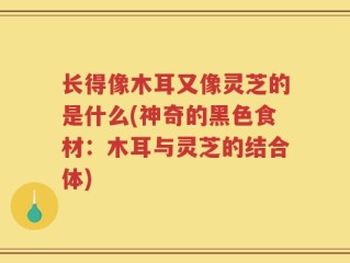 长得像木耳又像灵芝的是什么(神奇的黑色食材：木耳与灵芝的结合体)