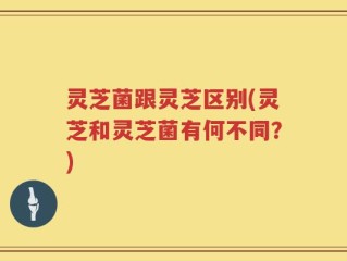 灵芝菌跟灵芝区别(灵芝和灵芝菌有何不同？)