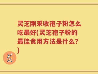 灵芝刚采收孢子粉怎么吃最好(灵芝孢子粉的最佳食用方法是什么？)