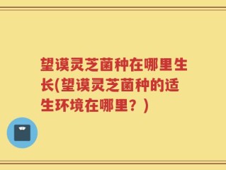 望谟灵芝菌种在哪里生长(望谟灵芝菌种的适生环境在哪里？)
