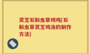 灵芝石斛虫草炖鸡(石斛虫草灵芝鸡汤的制作方法)