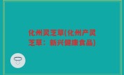 化州灵芝草(化州产灵芝草：新兴健康食品)