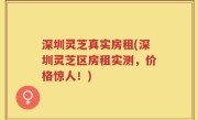 深圳灵芝真实房租(深圳灵芝区房租实测，价格惊人！)