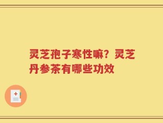 灵芝孢子寒性嘛？灵芝丹参茶有哪些功效