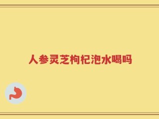 人参灵芝枸杞泡水喝吗