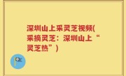 深圳山上采灵芝视频(采摘灵芝：深圳山上“灵芝热”)