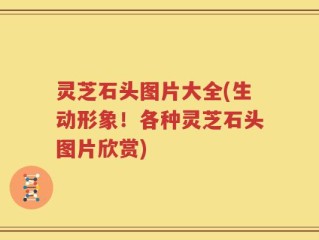 灵芝石头图片大全(生动形象！各种灵芝石头图片欣赏)