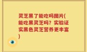 灵芝黑了能吃吗图片(能吃黑灵芝吗？实验证实黑色灵芝营养更丰富)