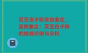 灵芝孢子粉显微鉴定_显微鉴定：灵芝孢子粉的精准识别与分析