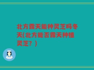 北方露天能种灵芝吗冬天(北方能否露天种植灵芝？)