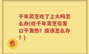 千年灵芝吃了上火吗怎么办(吃千年灵芝引发口干发热？应该怎么办？)