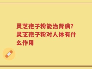灵芝孢子粉能治肾病？灵芝孢子粉对人体有什么作用