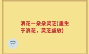 浪花一朵朵灵芝(重生于浪花，灵芝盛放)