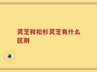灵芝和松杉灵芝有什么区别