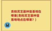 贵阳灵芝菌种苗基地在哪里(贵阳灵芝菌种苗基地地点在哪里？)