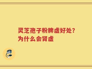 灵芝孢子粉脾虚好处？为什么会肾虚