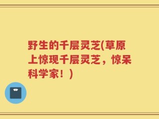 野生的千层灵芝(草原上惊现千层灵芝，惊呆科学家！)