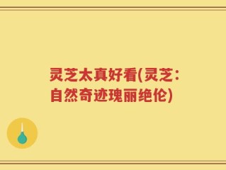 灵芝太真好看(灵芝：自然奇迹瑰丽绝伦)