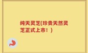 纯天灵芝(珍贵天然灵芝正式上市！)