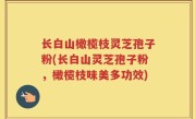 长白山橄榄枝灵芝孢子粉(长白山灵芝孢子粉，橄榄枝味美多功效)