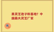黑灵芝孢子粉基地？中国最大灵芝厂家