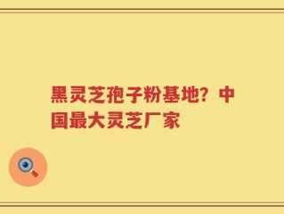 黑灵芝孢子粉基地？中国最大灵芝厂家