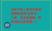 五味子和人参灵芝能泡酒喝吗功效(五味子、人参、灵芝泡酒喝，神奇功效让你惊喜！)