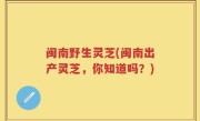 闽南野生灵芝(闽南出产灵芝，你知道吗？)