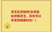 灵芝在家制种(在家轻松种植灵芝，你也可以享受到健康好处！)