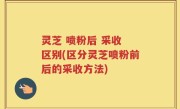 灵芝 喷粉后 采收 区别(区分灵芝喷粉前后的采收方法)