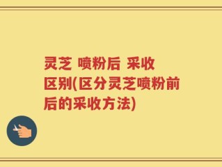 灵芝 喷粉后 采收 区别(区分灵芝喷粉前后的采收方法)