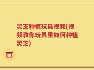 灵芝种植玩具视频(视频教你玩具里如何种植灵芝)