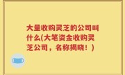 大量收购灵芝的公司叫什么(大笔资金收购灵芝公司，名称揭晓！)