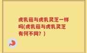 虎乳菇与虎乳灵芝一样吗(虎乳菇与虎乳灵芝有何不同？)