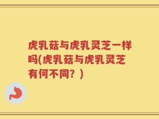 虎乳菇与虎乳灵芝一样吗(虎乳菇与虎乳灵芝有何不同？)