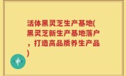活体黑灵芝生产基地(黑灵芝新生产基地落户，打造高品质养生产品)