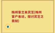 梅州客之来灵芝(梅州客户来访，探讨灵芝之奥秘)