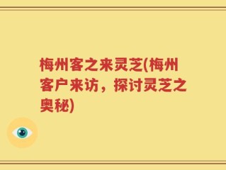 梅州客之来灵芝(梅州客户来访，探讨灵芝之奥秘)