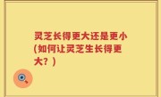 灵芝长得更大还是更小(如何让灵芝生长得更大？)