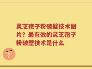 灵芝孢子粉破壁技术图片？最有效的灵芝孢子粉破壁技术是什么