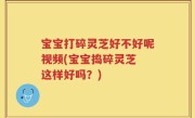 宝宝打碎灵芝好不好呢视频(宝宝捣碎灵芝 这样好吗？)