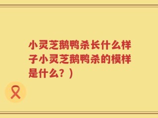 小灵芝鹅鸭杀长什么样子小灵芝鹅鸭杀的模样是什么？)