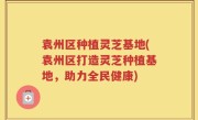 袁州区种植灵芝基地(袁州区打造灵芝种植基地，助力全民健康)