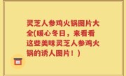 灵芝人参鸡火锅图片大全(暖心冬日，来看看这些美味灵芝人参鸡火锅的诱人图片！)